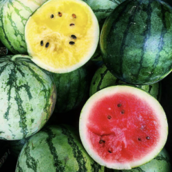 An image of multiple watermelons.