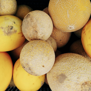 An image of multiple yellow melons.