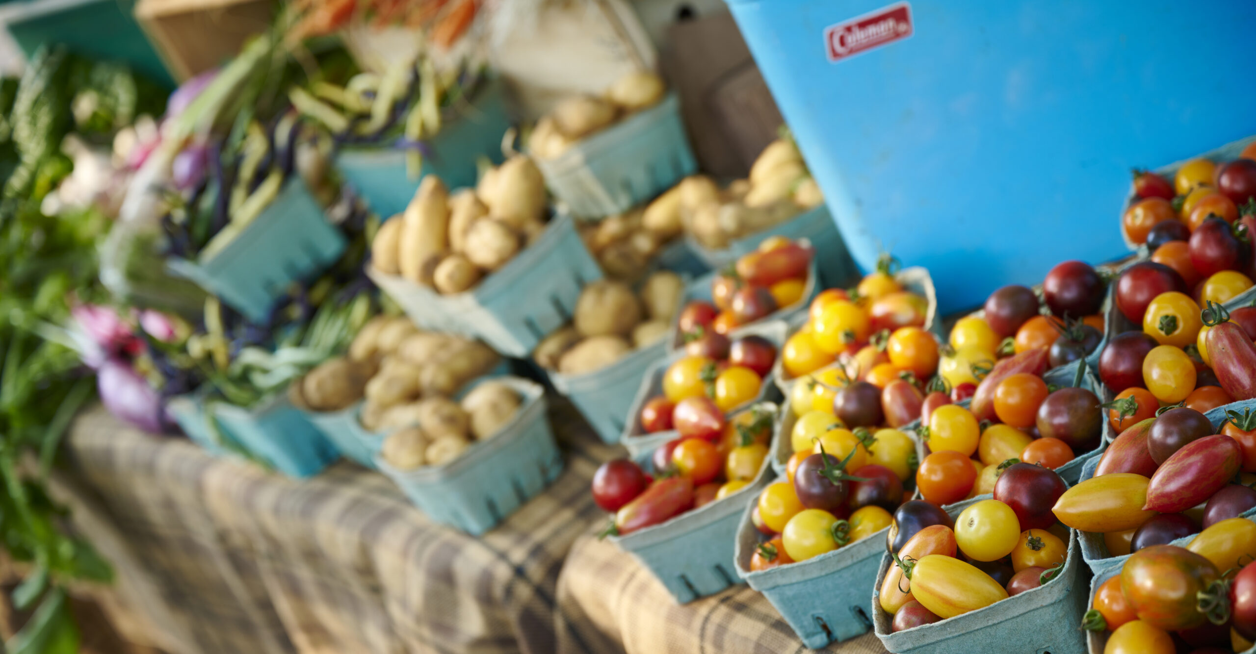 Table with a vintage blue cooler and fresh farmers market potatoes and tomatoes