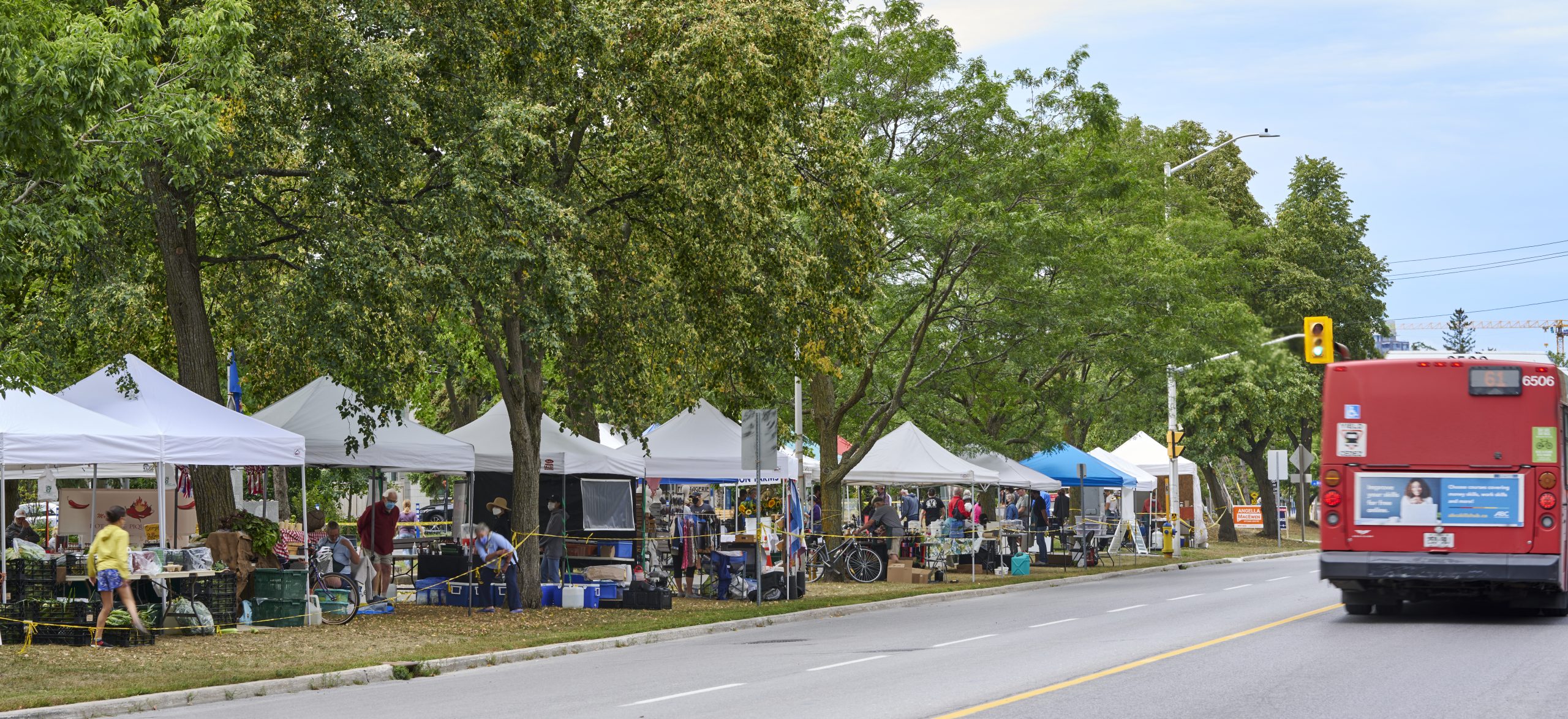 Shade tents lined up roadside in a linear park for a farmers market
