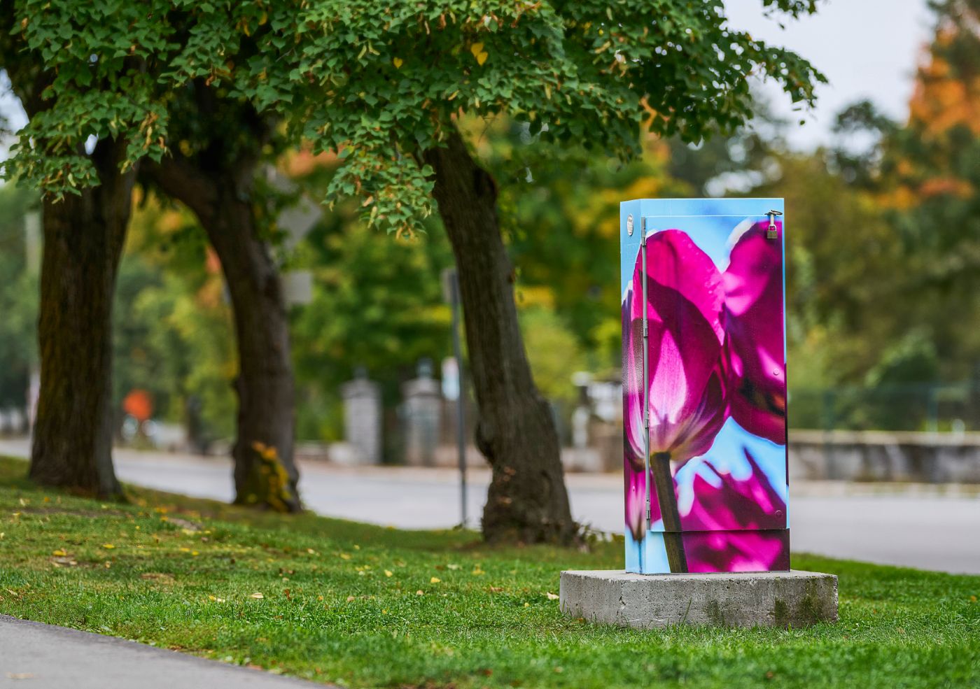 _DSC3070-FullRes