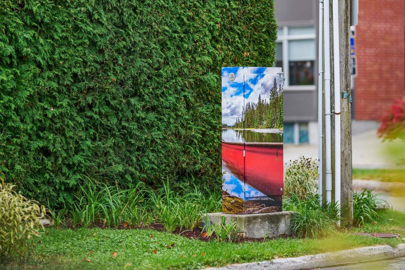 _DSC3117-FullRes